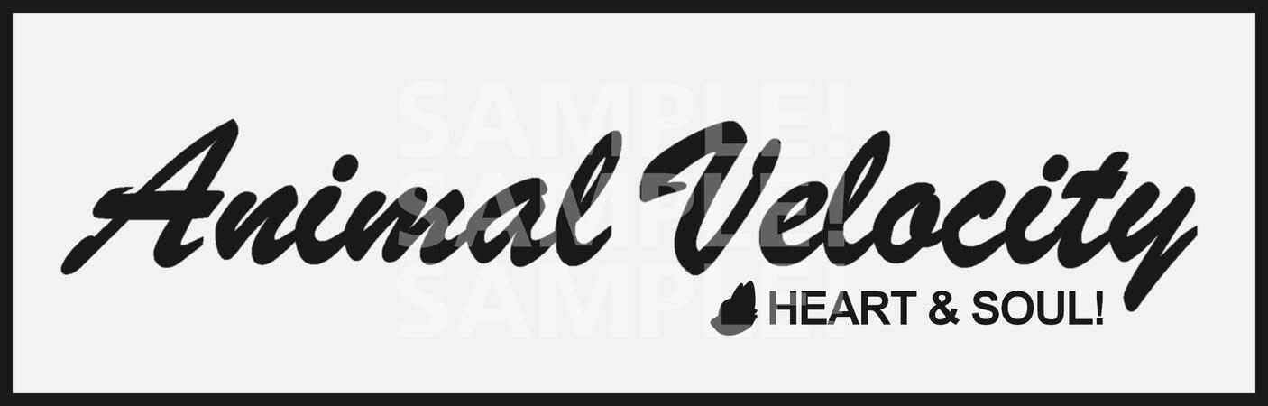 Late Night Club Racer